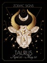 Vector illustration of zodiac signs. Taurus Royalty Free Stock Photo